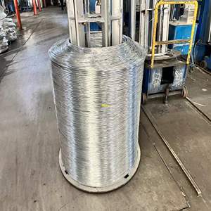 <span class=keywords><strong>Alambre</strong></span> de Acero <span class=keywords><strong>Galvanizado</strong></span> TW1061T para Atado de Barras de Refuerzo, para una Construcción Inmejorable - Product Image 1