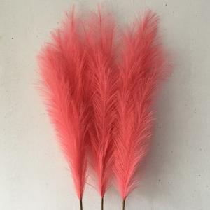 Plante naturelle soie pompon herbe fleur moelleuse grande herbe de pampa artificielle <span class=keywords><strong>pour</strong></span> mariage sol vase maison salon décor - Product Image 4