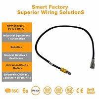 Männlicher und Weiblicher Molex-Steckverbinder PTFE-Kabelbaum Pin-Kabel für Bedienfeld Industriemaschinen Computer Motorrad IP65-Schutzklasse