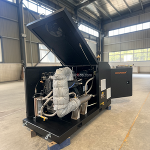 مولد كهرباء يعمل بالغاز الطبيعي بقدرة 20 كيلوواط و25 كيلو فولت أمبير، مبرد بالماء، كفاءة 90.5%، انبعاثات منخفضة، معتمد من CE - Product Image 2