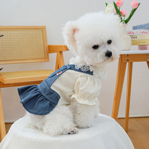 PETCIRCLE Ropa de Primavera/Verano para Perros y Gatos, Falda Vaquera Impresionante - Product Image 2