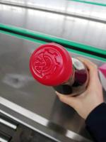 Machine à sceller à la cire électrique pour bouteilles de vin et de whisky