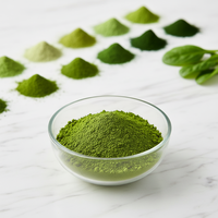 Poudre de jus de spaghettis verts de qualité alimentaire, complément alimentaire 100 % soluble dans l'eau, usine avec 14 ans d'expérience, 10:1, soluble dans l'eau, compléments alimentaires