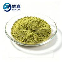 Extrait de Sophora Japonica en poudre de Rutine 95% 98% CAS 153-18-4 Vitamine P Qualité Alimentaire Antioxydant Matière Première Fourniture Usine