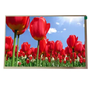 अनुकूलित 10.1 इंच ips 1280x800 tft Lcd डिस्प्ले मॉड्यूल Lvd 40 पिन के साथ