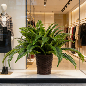 Feraula di Boston Artificiale di Lusso <span class=keywords><strong>in</strong></span> <span class=keywords><strong>Vaso</strong></span> Intrecciato, Pianta <span class=keywords><strong>in</strong></span> Plastica Fatta a Mano per Interni, per Vetrine di Caffetterie e Negozi, Arredamento Moderno per la Casa - Product Image 1