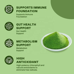 Poudre de mélange de superaliments et de super-verts en marque blanche OEM/ODM, poudre de jus vert quotidien, mélange pour boisson smoothie végétale avec Chlorella - Product Image 3