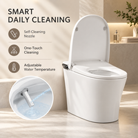 Toilette intelligente monobloc minimaliste à poser au sol avec fonction lavage féminin et chauffage instantané, pour salles de bain et showrooms, fournisseur de toilettes intelligentes
