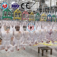 Machine d'abattage de volaille rapide de 300 à 15 000 BPH, conforme aux normes halal, avec moteur et roulements, matériaux de haute qualité et assistance clé en main