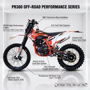 Nueva Motocicleta Todoterreno de <span class=keywords><strong>Enduro</strong></span> para Adultos, 300cc, 4 Tiempos, Frenos de Disco, Transmisión por Cadena, Alto Rendimiento, 120km/h - Product Image 3