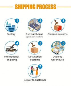 Servicio de Envío Puerta a Puerta DDP de Marca Reconocida, Compras Privadas, España, Italia, Francia, Alemania, Europa, EE. UU., Agente de Envío Aéreo+Exprés - Product Image 3