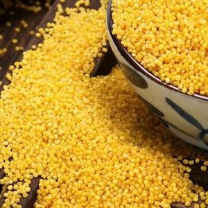 Millet jaune décortiqué <span class=keywords><strong>de</strong></span> haute qualité <span class=keywords><strong>de</strong></span> Mongolie intérieure, graines dorées nutritives, petit-déjeuner naturel, alimentation biologique pour la cuisine, sac <span class=keywords><strong>de</strong></span> 10 kg - Product Image 2