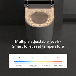 Простой напольный унитаз - Product Image 2