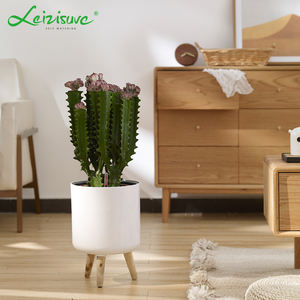 זול לבן גדול משקה עצמי גדול לגינון עזרי פרחים עם רגלי עץ קטן בינוני גדול - Product Image 2