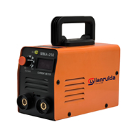 Machine à souder à l'arc électrique mini onduleur à prix abordable, classe F, 220V 250A