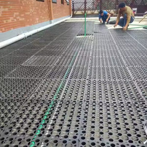 Cella di drenaggio vassoi in HDPE di alta qualità per il drenaggio del tetto del giardino - Product Image 3