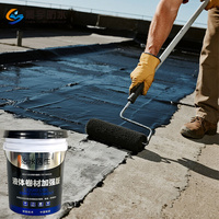 Imperméable à l'eau plafond béton toit terrasse bitume revêtement Garage membrane liquide Dpm peinture d'étanchéité