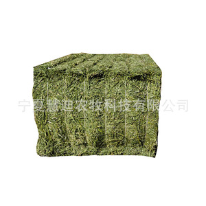 Pacas de Heno de Alfalfa para Yaks, Caballos, Camellos, Cabras Lecheras, Alpacas, Alimento y Nutrición - Product Image 5