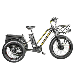 En Stock Triciclo Eléctrico <span class=keywords><strong>de</strong></span> Neumáticos Anchos <span class=keywords><strong>de</strong></span> 20/24 Pulgadas, 750W, <span class=keywords><strong>para</strong></span> Adultos, con Cesta Trasera y <span class=keywords><strong>Caja</strong></span> <span class=keywords><strong>de</strong></span> <span class=keywords><strong>Carga</strong></span> <span class=keywords><strong>para</strong></span> Entregas y Actividades al Aire Libre - Product Image 1