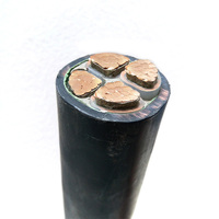 RUITIAN 10mm 16mm 25mm 35mm 50mm 70mm 95mm 120mm 150mm 185mm XLPE Single Multi Core SWA gepanzerte Xlpe-Isolation stromkabel