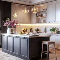 American Villa Armoires de cuisine haut de gamme en acier inoxydable Intégration de poêle à îlot gris foncé Vente directe d'usine Évier en granit