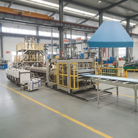Línea de Producción de Tableros de Aislamiento Térmico de Espuma de Poliestireno Extruido Automática (XPS) con CO2, con Caja de Cambios y PLC
