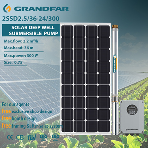 GRANDFAR 36m Head 300W Borehole New Design Stainless Steel Solar Powered Submersible <b>Pump</b> <b>Small</b> Deep Well Water 2SSD2.5/36-24/30 - Product Image 1