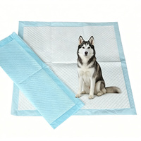 Almohadillas de entrenamiento para cachorros, desechables, plegables, verdes, impermeables, para orina, 30x36, para entrenamiento de perros y mascotas, básicas