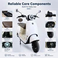 Skuter Listrik SHENGGE SG-SQ 800W 60V 72V Retro Commuter E-Moped Lampu Depan LED Grosir OEM Pabrik Langsung Partai Besar