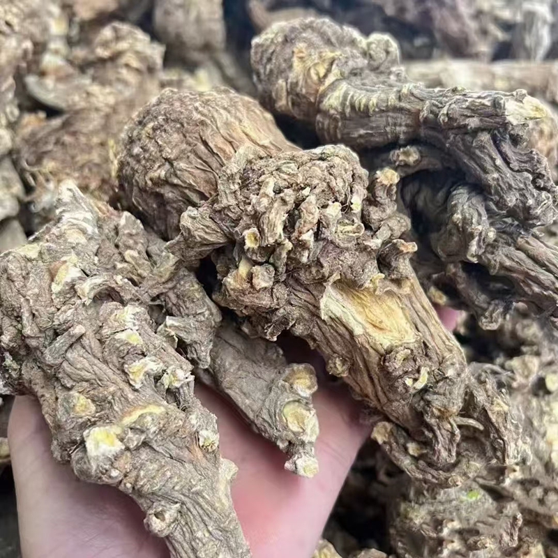 Base Angelica Chinese Angelica Roots Chinese Medicinal Materials Dang Gui Angelica Sinensis Polysaccharides