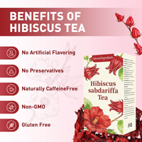 Thé aux fleurs d'hibiscus Sabdariffa naturel, marque privée, directement de l'usine, 60g, 30 sachets, infusion de roselle, mélange antioxydant, OEM