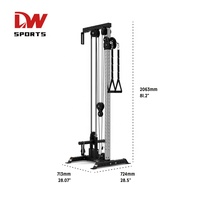 DWsport FT1013 Machine à câbles multifonctionnelle murale unisexe en métal avec système de poulies doubles réglables pour usage domestique, garantie 2 ans