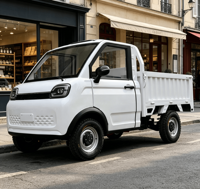 Pick-up électrique 4x4, design tout-terrain, homologation EEC COC, conduite à gauche, cabine spacieuse de 1,35 m, fonction de basculement hydraulique