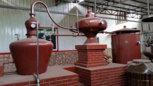 Équipement de <span class=keywords><strong>distillerie</strong></span> de vin, alambic à <span class=keywords><strong>cognac</strong></span> de Charente 400L, distillateur de brandy en cuivre automatique - Product Image 3