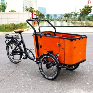 Vélo familial électrique CE néerlandais à 3 roues, 250W, batterie lithium 36V avec moteur électrique et capteur intelligent, certifié CE - Grande <span class=keywords><strong>Vente</strong></span> - Product Image 1