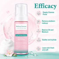 Nettoyant Moussant Visage Personnalisé OEM à la Niacinamide et à la Calamine, Nettoyant Démaquillant Micellaire Lift-Away, Mousse Nettoyante à Bulles pour la Barrière Cutanée