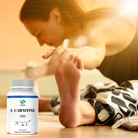Capsules de récupération après l'entraînement |   L-Carnitine avec BCAA |   Réduit les douleurs musculaires Capsules de L-Carnitine