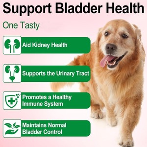 Suplemento para Cães com Envio Rápido, Suplementos para Saúde Urinária de Animais de Estimação, Promove a Saúde Urinária, Mastigáveis Macios para Cães com Cranberry - Product Image 2