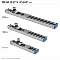 Modules linéaires à entraînement par rack parallèle avec boîte de vitesses servo verticale et chariot pré-percé pour l'automatisation de portiques