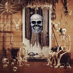 Tablero <span class=keywords><strong>de</strong></span> advertencia <span class=keywords><strong>de</strong></span> calavera animatrónica <span class=keywords><strong>de</strong></span> Halloween, material <span class=keywords><strong>de</strong></span> espuma para decoración <span class=keywords><strong>de</strong></span> casa embrujada con accesorio <span class=keywords><strong>de</strong></span> pared <span class=keywords><strong>de</strong></span> fiesta <span class=keywords><strong>de</strong></span> ojo brillante - Product Image 6
