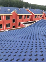 US-Standard Mehr 5 Jahre Garantie Maschinen gefertigtes architekto nisches europäisches Design Bitumen-Dach ziegel Modernes hagels ic heres Dach