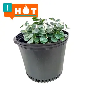 Pots de pépinière de plantes noires 1 2 3 5 7 10 15 20 25 gallons Vente en gros bon marché