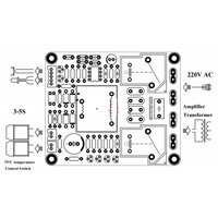 Panneau de Protection pour amplificateur de puissance 220V, classe A, température souple, retardement, pour amplificateur 30A à 1000W, 2 pièces
