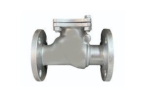 Válvula de Retención de 2 Pulgadas de Acero al Carbono Tipo C con Extremo Bridado y Cubierta Atornillada, Sellado de PTFE, Personalizable para la Industria del Petróleo y Gas - Product Image 3
