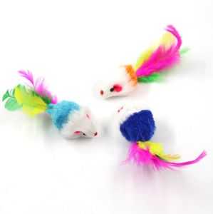 Peluche gatto giocattolo colorato piuma gatto cigolante denti molari peluche - Product Image 5