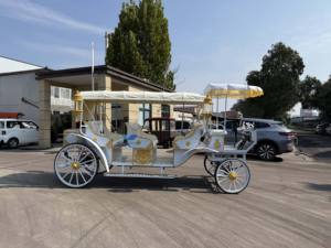 Chariot royal de haute qualité, parfait pour les mariages et les occasions spéciales - Product Image 4