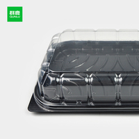 Emballage en plastique PET gaufré jetable pour les conserves au micro-ondes Sandwich Sushi Pizza Salade Pet Food Hamburger Pain Sucre