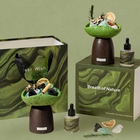 Diffuseur de pierres de cristal naturelles prêt à être expédié, coffret cadeau multi-parfums pour la décoration intérieure, cadeaux d'anniversaire