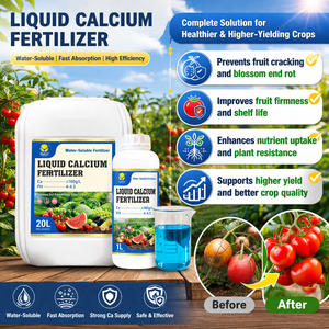 แคลเซียมเหลวเข้มข้น 180 กรัม/<span class=keywords><strong>ลิตร</strong></span> น้ำตาลแอลกอฮอล์คอมเพล็กซ์  ซึมซาบเร็ว สำหรับแอปเปิ้ล ลูกแพร์ ส้ม องุ่น ขายดี - Product Image 1