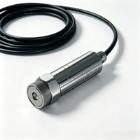 Sensor Getaran 4-20mA 0-50mm/s IP68 CE Pemancar Kecepatan OEM Motor Pompa Kipas Pemeliharaan Prediktif 2-Kabel/4-Kabel Opsional